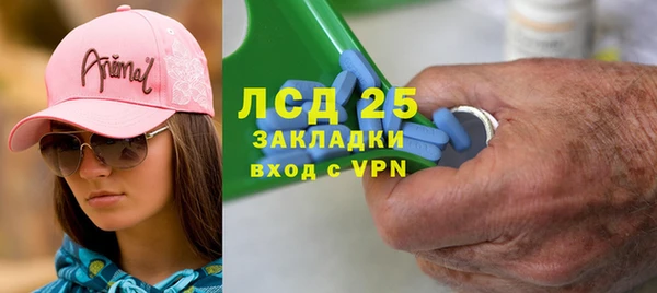 прущие грибы Новокубанск