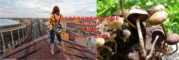 гашиш Няндома