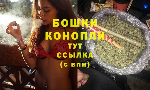 винт Нягань