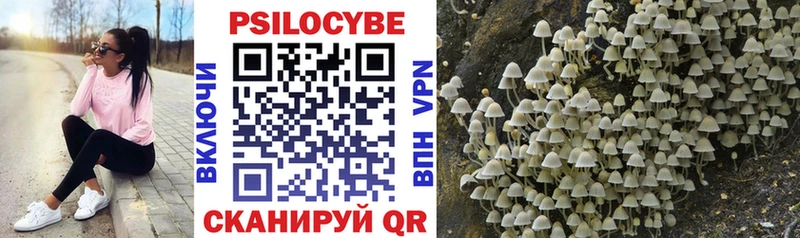 блэк спрут ONION Заволжье Псилоцибиновые грибы Magic Shrooms