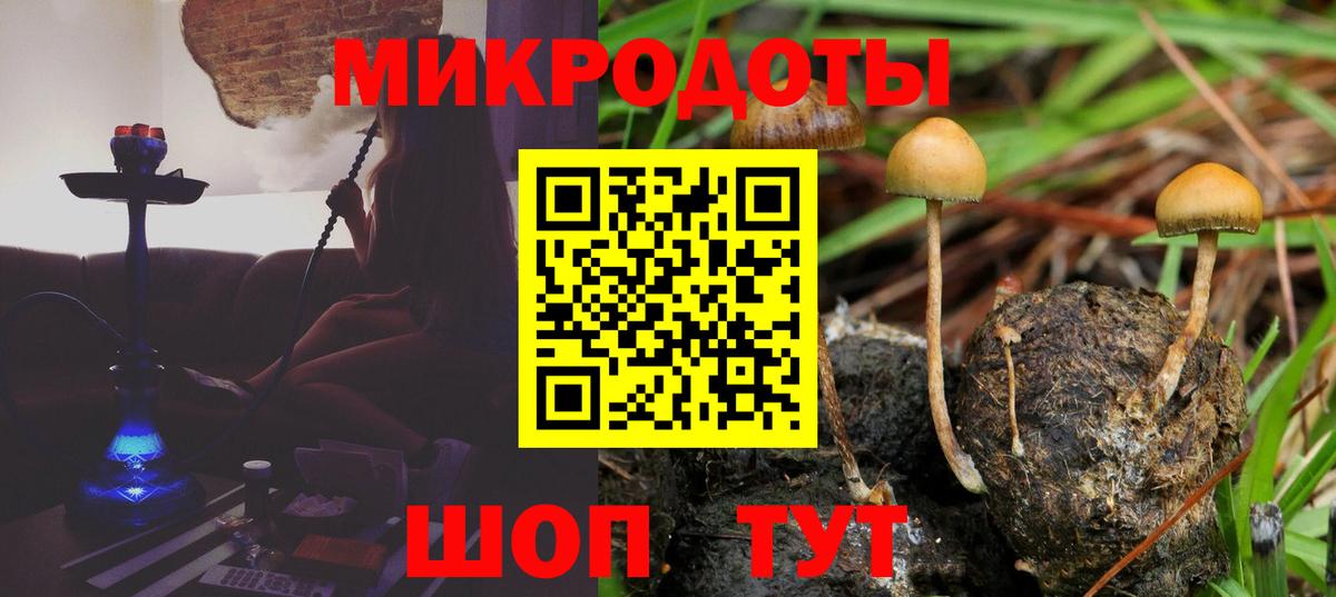Псилоцибиновые грибы GOLDEN TEACHER Заволжье